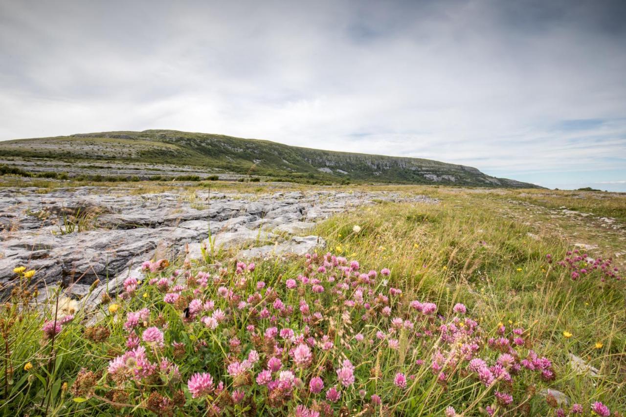 Gregans Castle Hotel Ballyvaughan Bagian luar foto